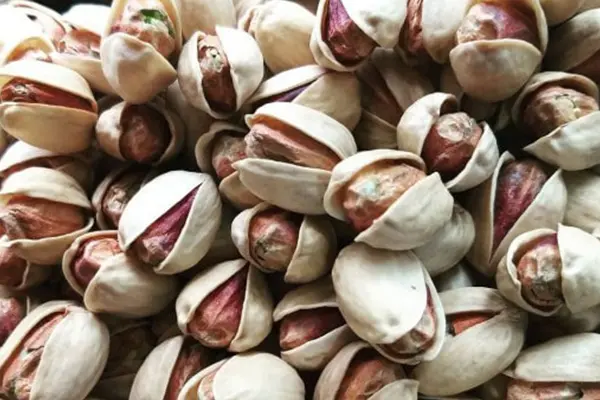 Kalleh Ghouchi pistachio